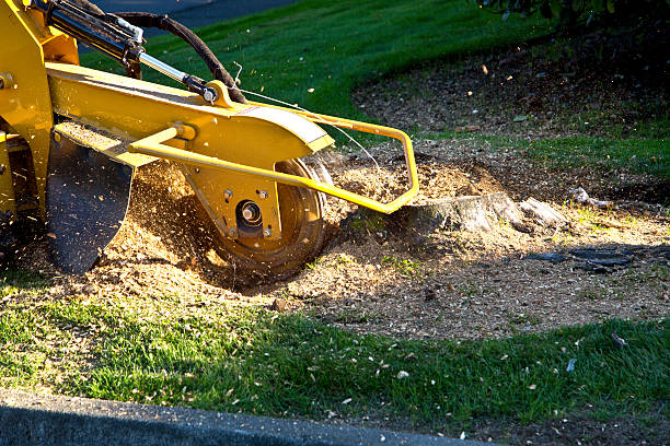 Artificial Turf Installation in West Middlesex, PA